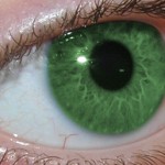 mata hijau